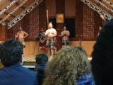 De vechtsport van de Maori