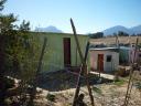 Chris Hani (3)
