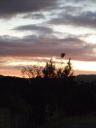 Tulbagh
