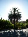 Tulbagh