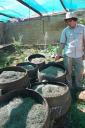 Compostsysteem in Weverly Hills: gras en wormen