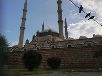IMG_20190712_101024