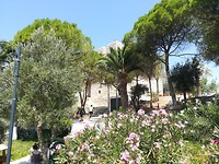 IMG_20190714_114845