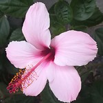 IMG_20190716_205932