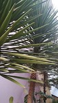 IMG_20190717_201521