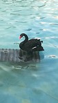 IMG_20190720_193255