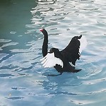 IMG_20190720_211910