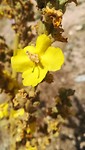 IMG_20190720_123200