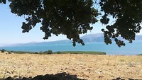 IMG_20190720_123041
