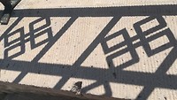 IMG_20190721_110617