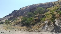 IMG_20190721_110125