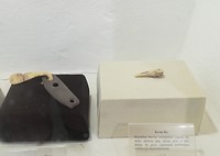 IMG_20190722_181817