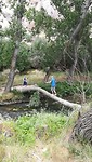 IMG_20190723_131619