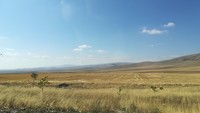 IMG_20190723_093527