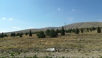 IMG_20190723_093350