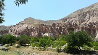 IMG_20190724_133123