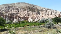 IMG_20190724_133051