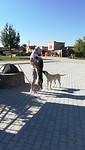 IMG_20190726_084518