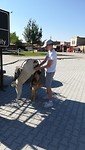 IMG_20190726_084508