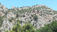 IMG_20190810_122017