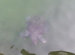 IMG_20190813_093356