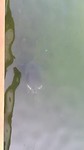 VID_20190813_082124