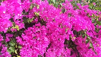 IMG_20190815_102602