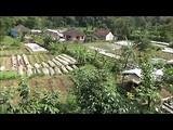 Bali 2017