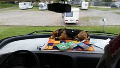 Puk heeft eindelijk zijn plekje in de camper gevonden (als we stilstaan :-)