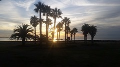 's ochtends vanaf onze camping, uitzicht op de palmbomen en het strand :-)