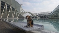 Puk en Calatrava...