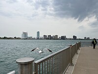 IMG_8549
