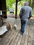IMG_8568