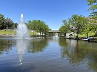 IMG_8618