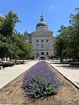 IMG_8622