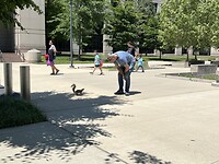 IMG_8627