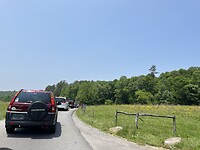 IMG_8944