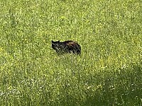 IMG_8948