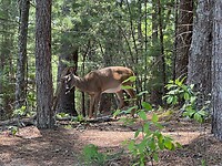 IMG_8959
