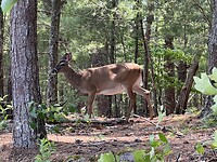 IMG_8961