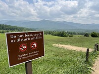 IMG_8964
