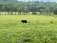 IMG_8984