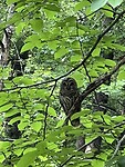 IMG_8987