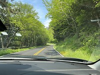 IMG_9008