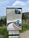 IMG_9009