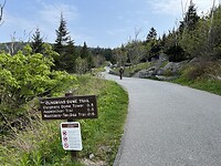 IMG_9010