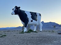 IMG_1831