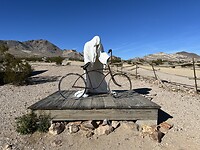 IMG_1802