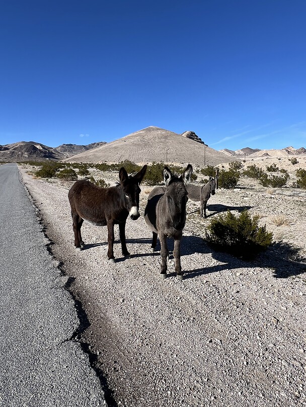 IMG_1801
