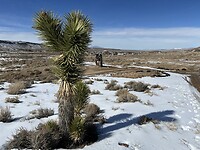 IMG_1780